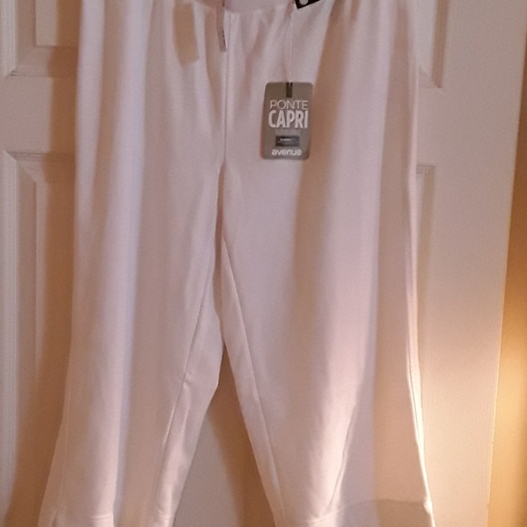 Pants - Picture 1 of 1